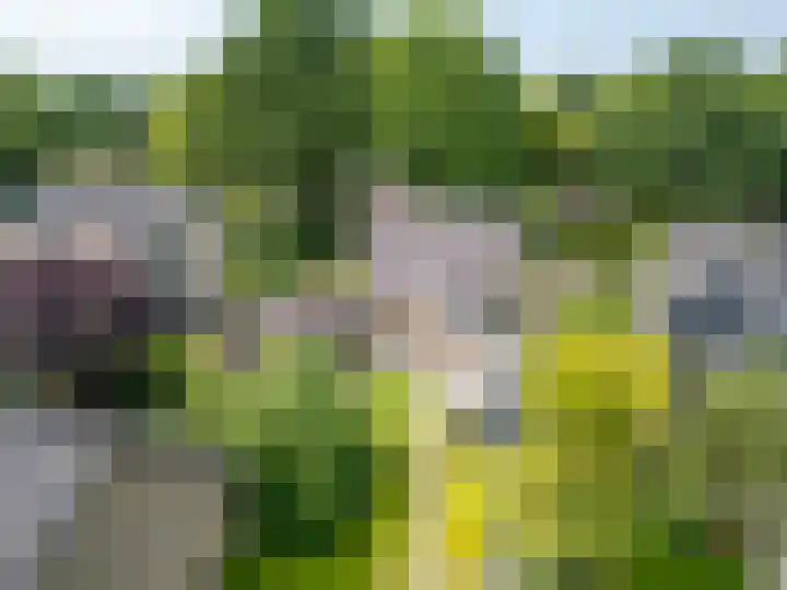 Beatrixlaan 47 Oosterhesselen thumbnail 34