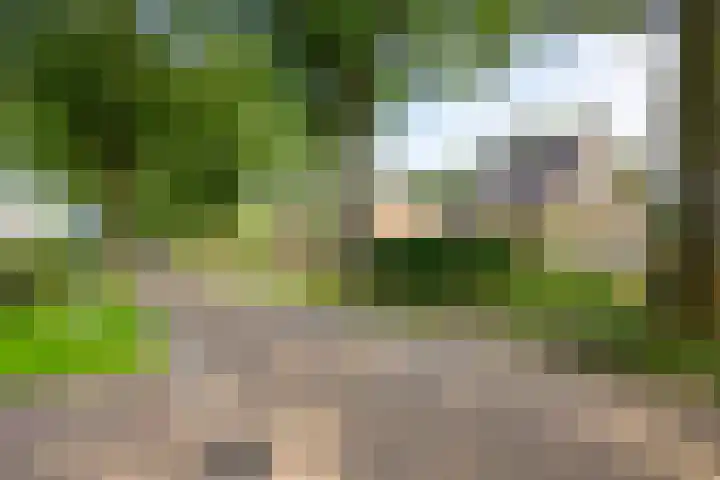 Beatrixlaan 47 Oosterhesselen thumbnail 36
