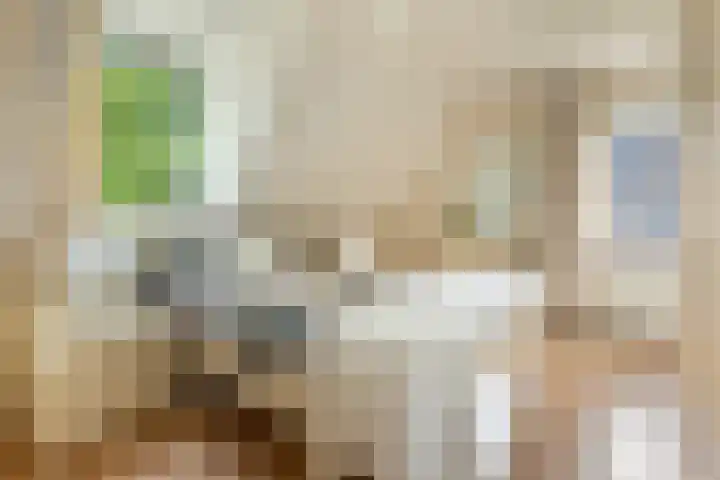 Beatrixlaan 47 Oosterhesselen thumbnail 4