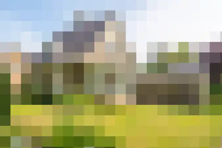Beatrixlaan 47 Oosterhesselen thumbnail 9