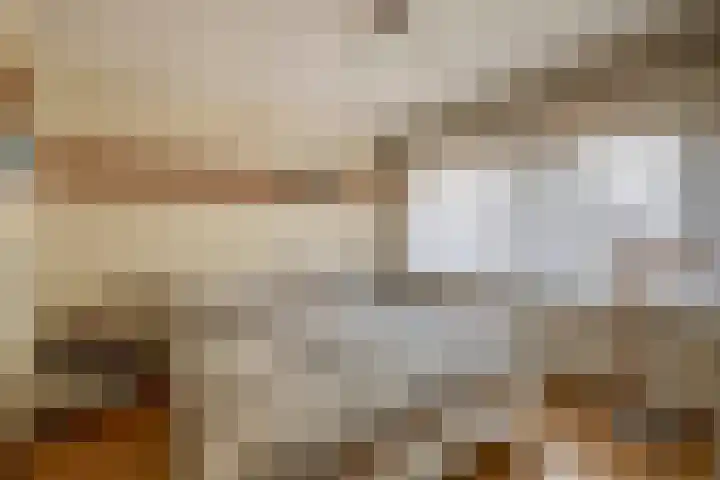 Beatrixlaan 5 Belfeld thumbnail 10