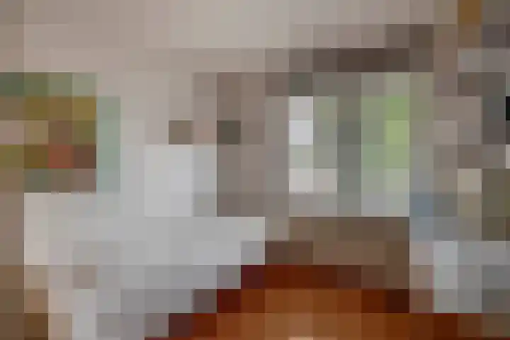 Beatrixlaan 5 Belfeld thumbnail 13
