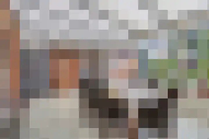 Beatrixlaan 5 Belfeld thumbnail 18