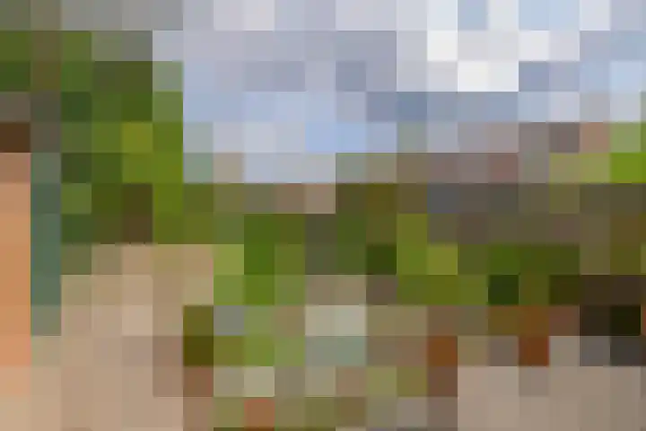 Beatrixlaan 5 Belfeld thumbnail 19