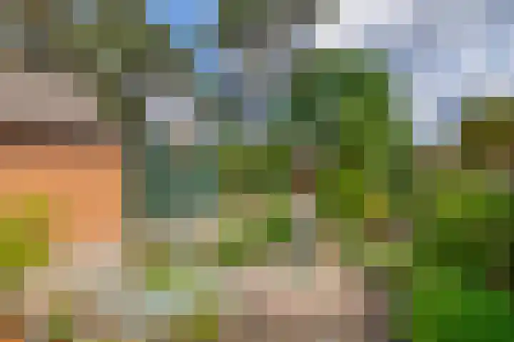 Beatrixlaan 5 Belfeld thumbnail 20