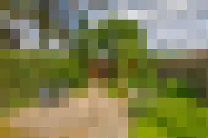 Beatrixlaan 5 Belfeld thumbnail 21