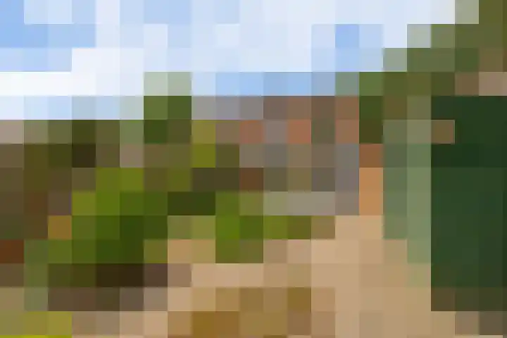 Beatrixlaan 5 Belfeld thumbnail 22