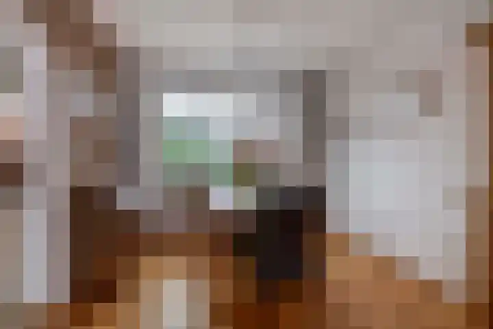 Beatrixlaan 5 Belfeld thumbnail 4