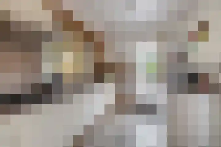 Beatrixlaan 5 Belfeld thumbnail 5