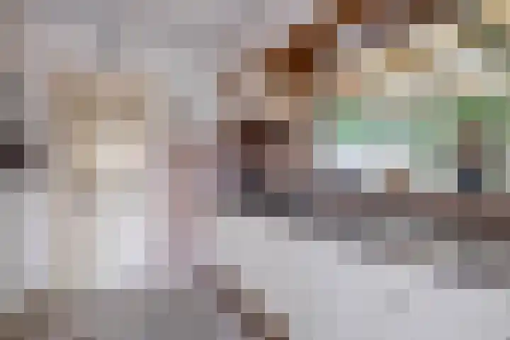Beatrixlaan 5 Belfeld thumbnail 6