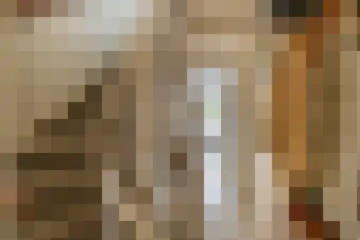 Beatrixlaan 5 Belfeld thumbnail 9
