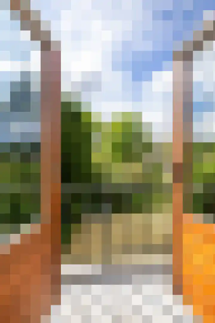 Beatrixlaan 5 Haren Gn thumbnail 27