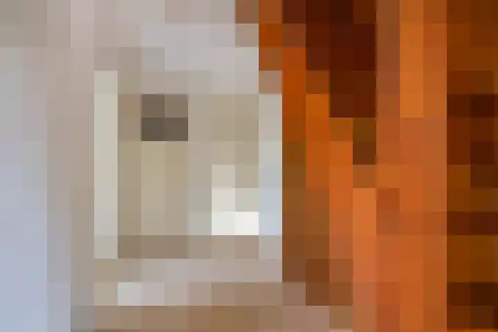Beatrixlaan 5 Haren Gn thumbnail 28