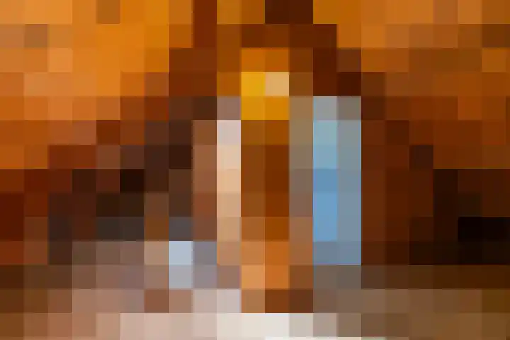 Beatrixlaan 5 Haren Gn thumbnail 32