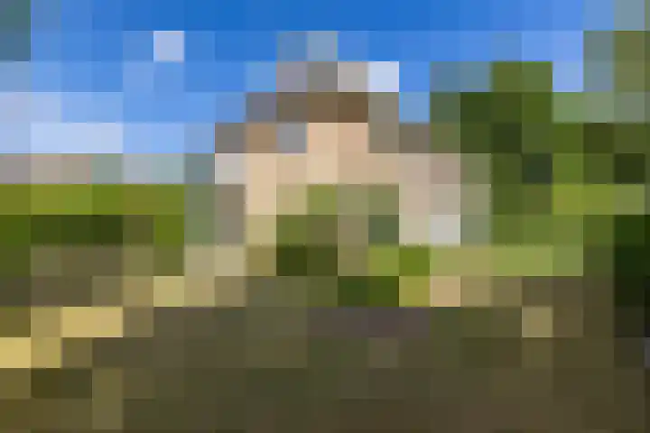 Beatrixlaan 5 Haren Gn thumbnail 4