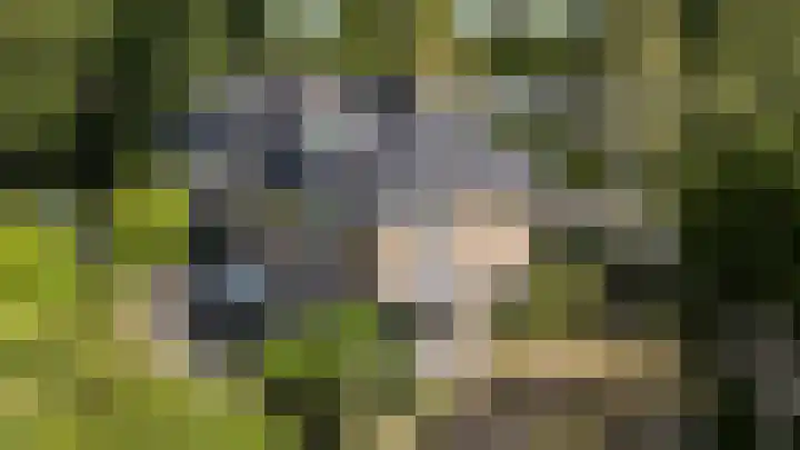 Beatrixlaan 5 Haren Gn thumbnail 40