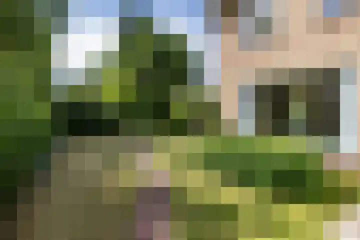 Beatrixlaan 5 Haren Gn thumbnail 7