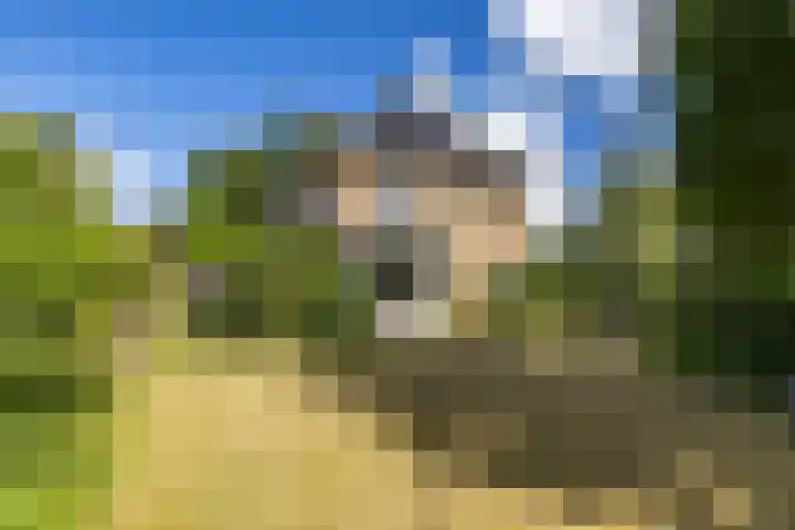 Beatrixlaan 5 Haren Gn thumbnail 8