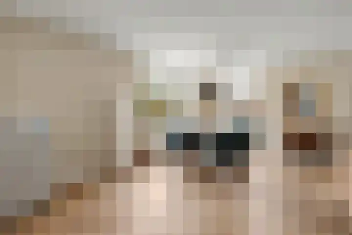 Beatrixlaan 52 b Raamsdonksveer thumbnail 15