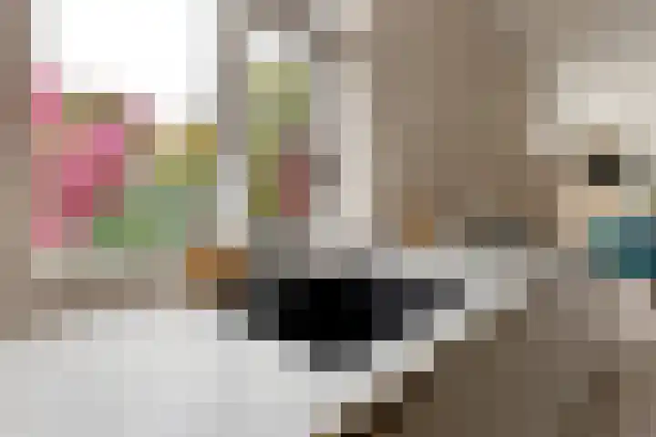 Beatrixlaan 52 b Raamsdonksveer thumbnail 20