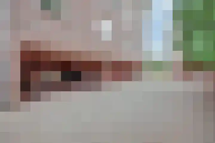 Beatrixlaan 52 b Raamsdonksveer thumbnail 30