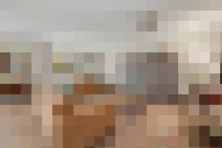 Beatrixlaan 52 b Raamsdonksveer thumbnail 8