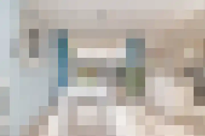 Beatrixlaan 58 Moerkapelle thumbnail 5