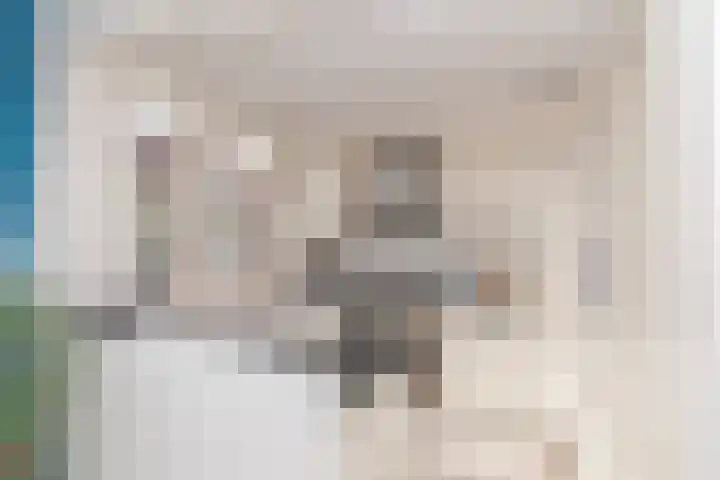 Beatrixlaan 58 Moerkapelle thumbnail 6