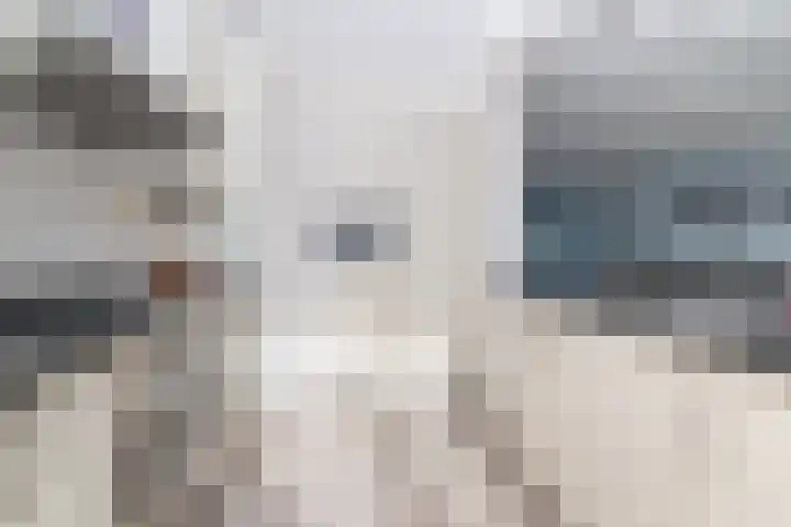 Beatrixlaan 58 Moerkapelle thumbnail 9