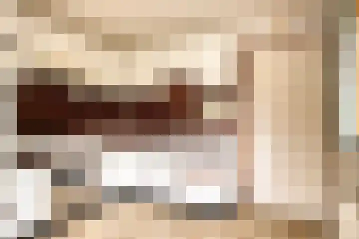Beatrixlaan 6 Bladel thumbnail 13
