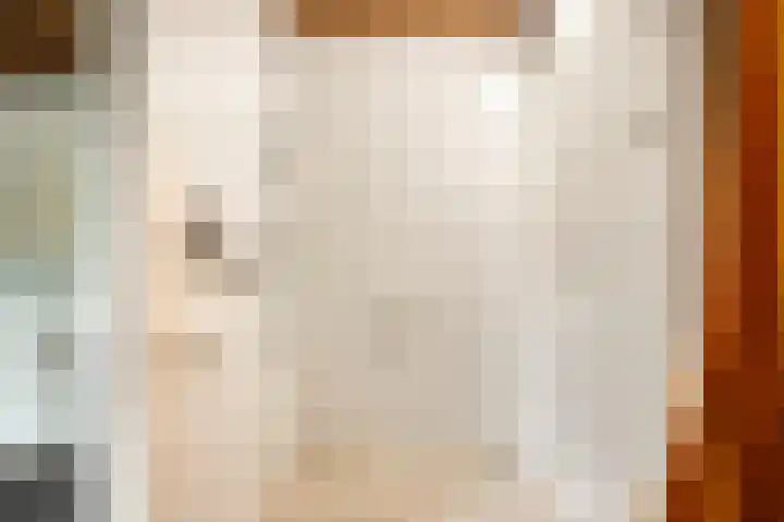 Beatrixlaan 6 Bladel thumbnail 16