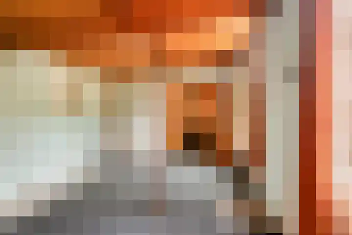 Beatrixlaan 6 Bladel thumbnail 18