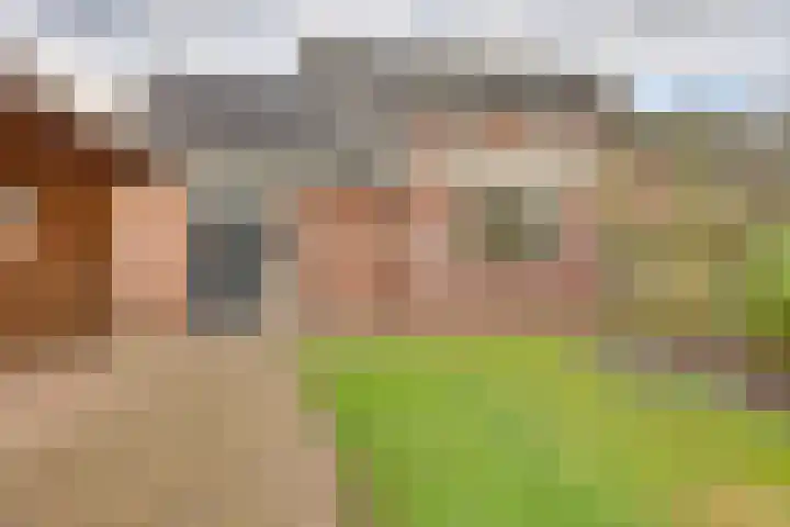 Beatrixlaan 6 Bladel thumbnail 43