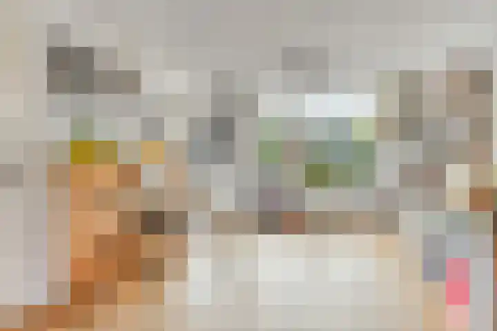 Beatrixlaan 6 Maasbracht thumbnail 12