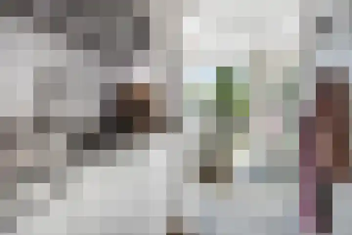 Beatrixlaan 6 Maasbracht thumbnail 15