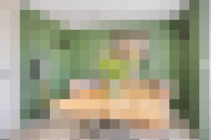 Beatrixlaan 6 Maasbracht thumbnail 17