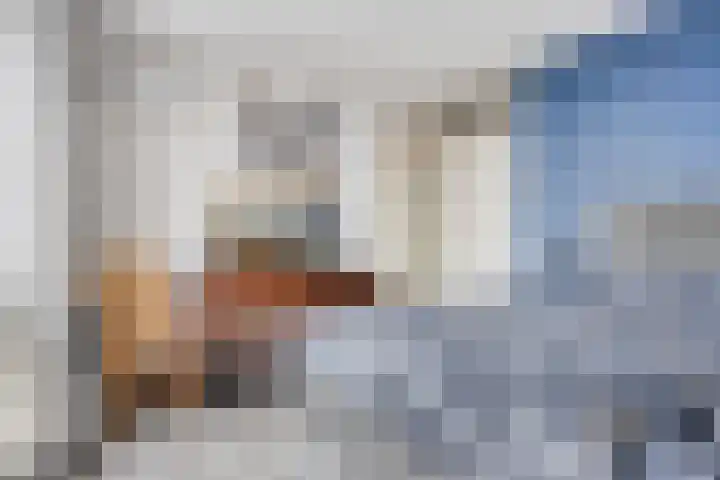 Beatrixlaan 6 Maasbracht thumbnail 23