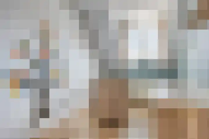Beatrixlaan 6 Maasbracht thumbnail 29