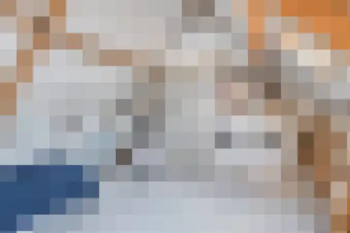 Beatrixlaan 6 Maasbracht thumbnail 31