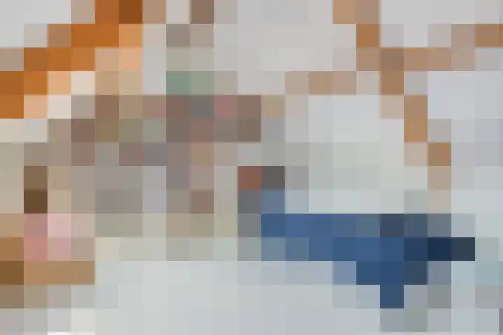 Beatrixlaan 6 Maasbracht thumbnail 32
