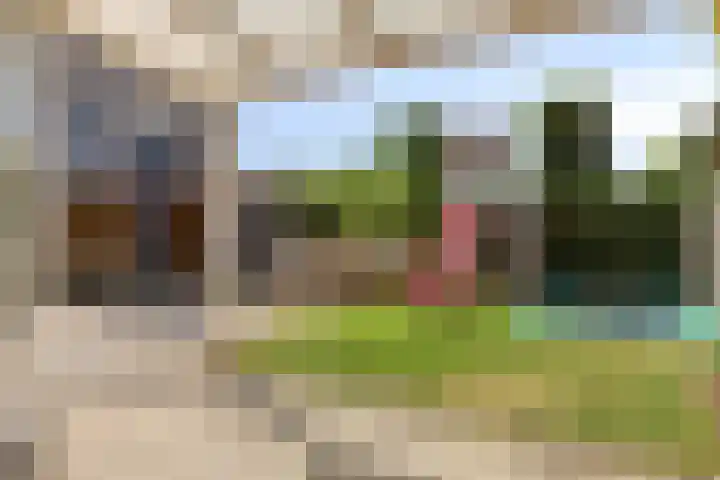 Beatrixlaan 6 Maasbracht thumbnail 33