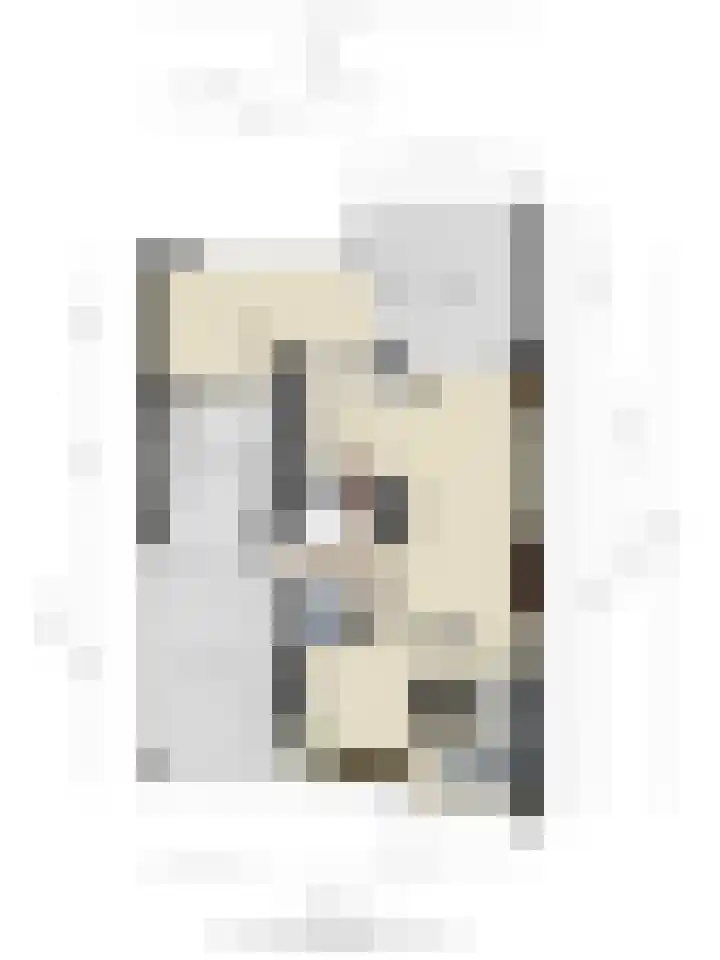Beatrixlaan 6 Maasbracht thumbnail 42