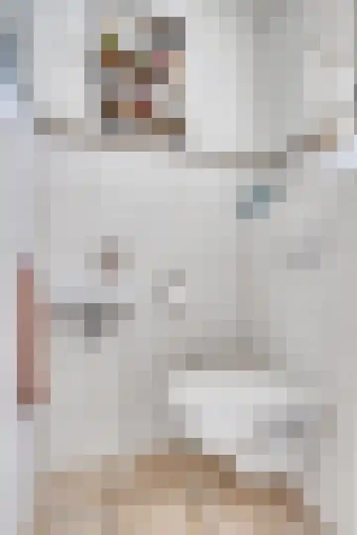 Beatrixlaan 6 Maasbracht thumbnail 6