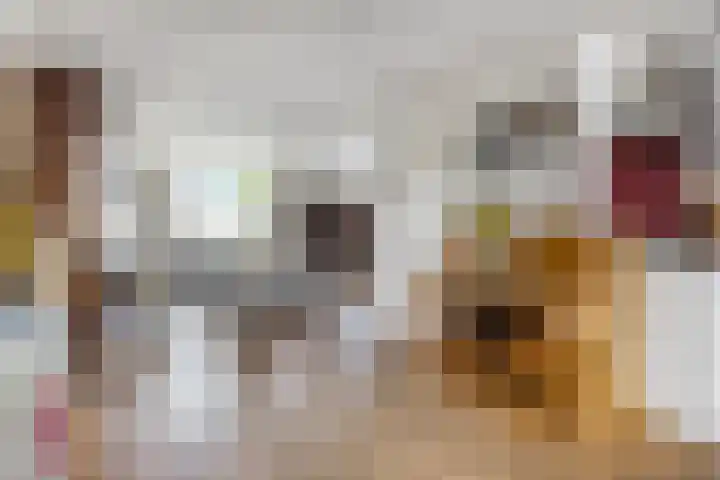 Beatrixlaan 6 Maasbracht thumbnail 8