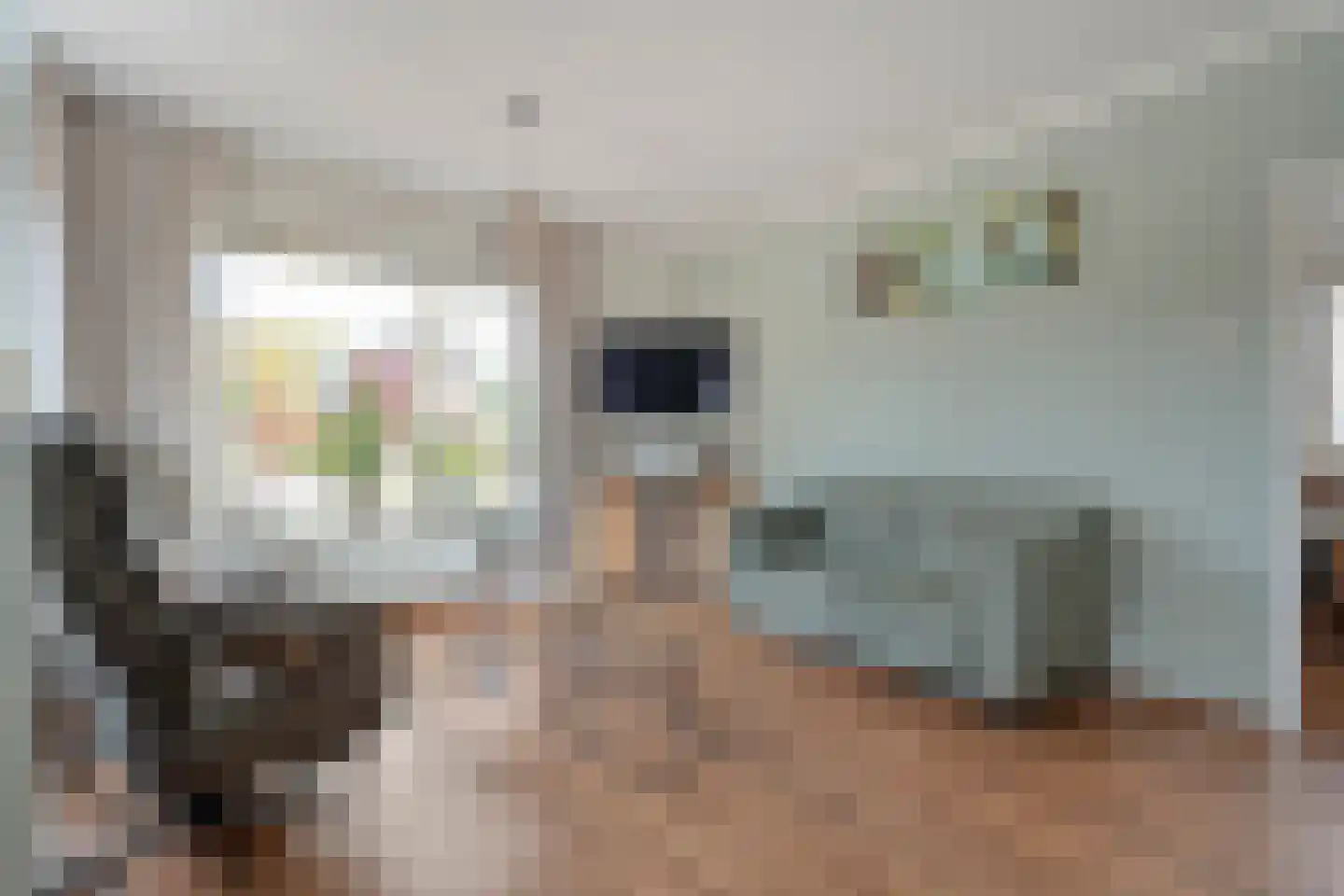 Beatrixlaan 67 Oosterhesselen thumbnail 14