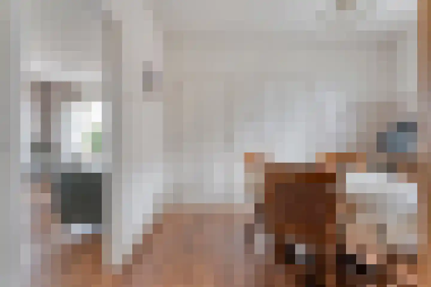 Beatrixlaan 67 Oosterhesselen thumbnail 16
