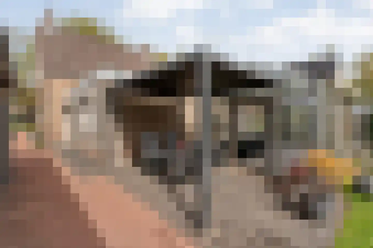 Beatrixlaan 67 Oosterhesselen thumbnail 39