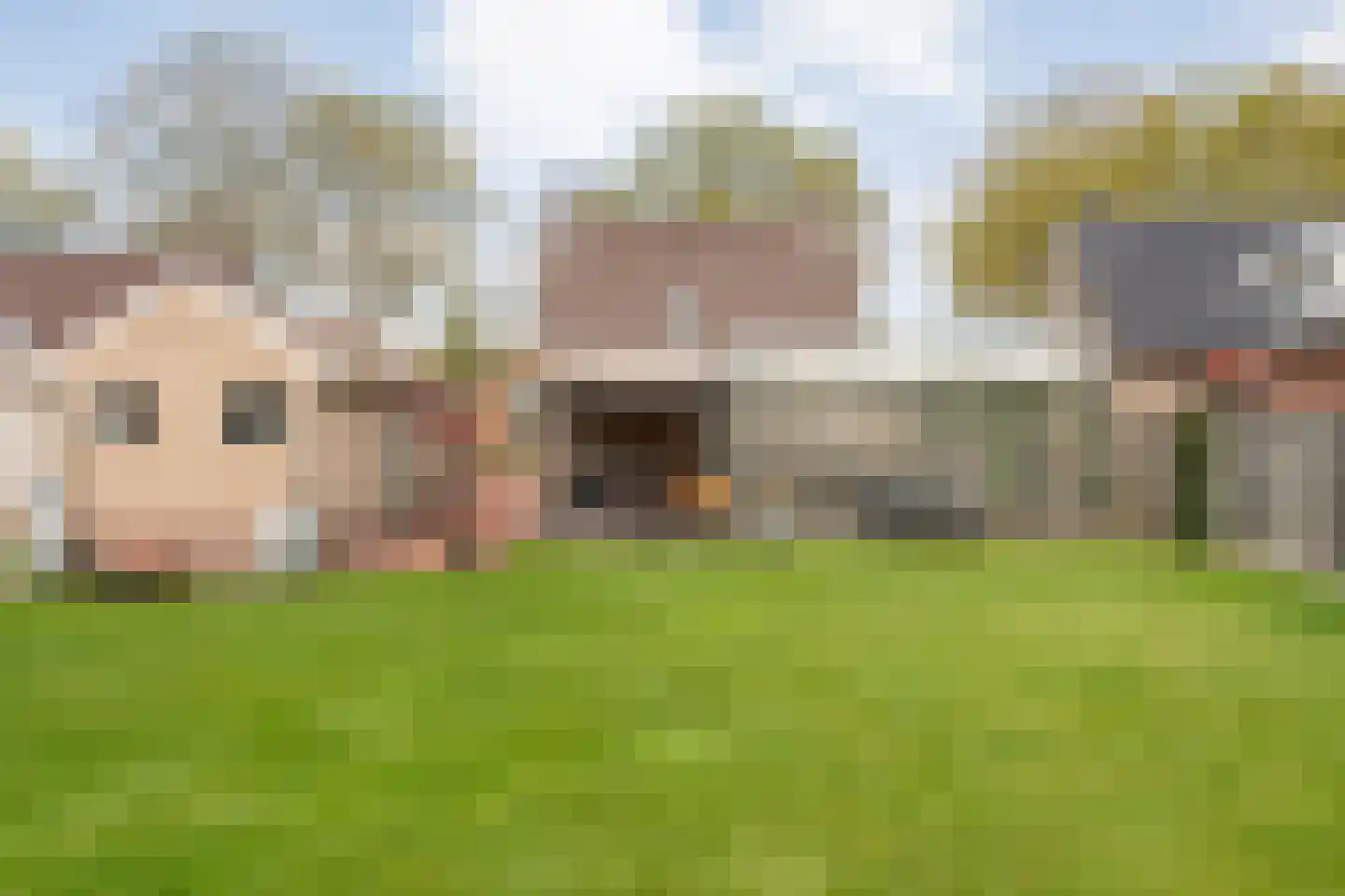 Beatrixlaan 67 Oosterhesselen thumbnail 45
