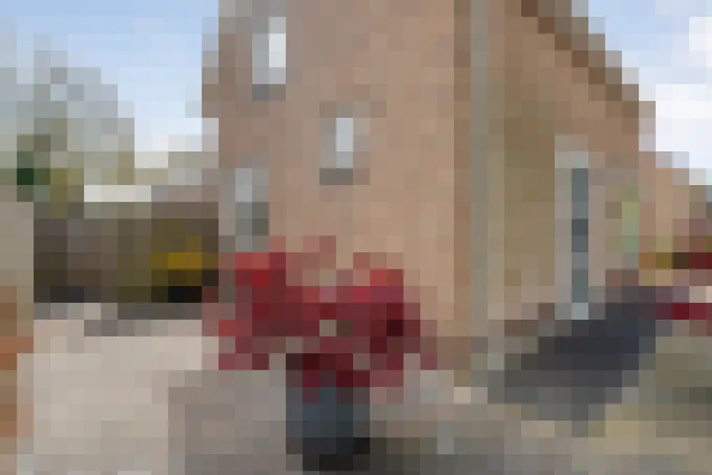Beatrixlaan 67 Oosterhesselen thumbnail 5
