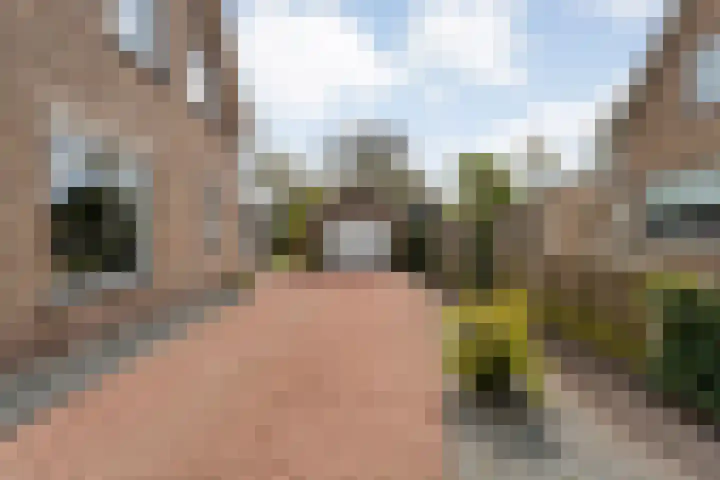 Beatrixlaan 67 Oosterhesselen thumbnail 7